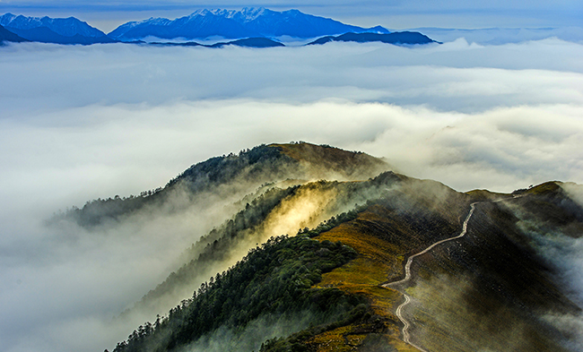 首页- 尊龙集团中国官方网站