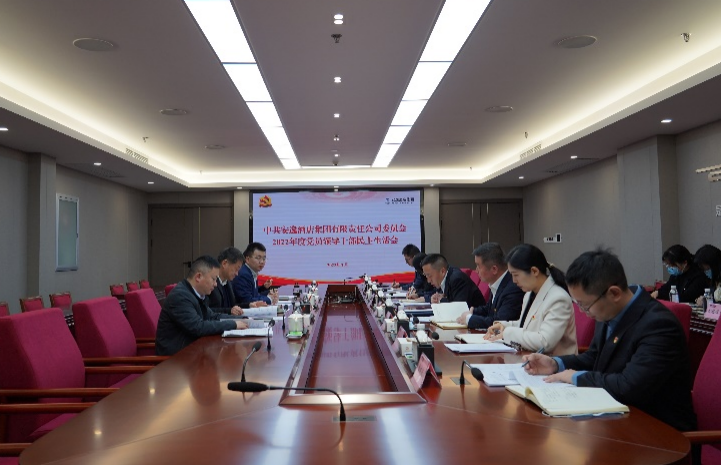 尊龙集团官网集团党委书记、董事长任丁出席安逸酒店集团2022年度党员辅导干部民主生涯会