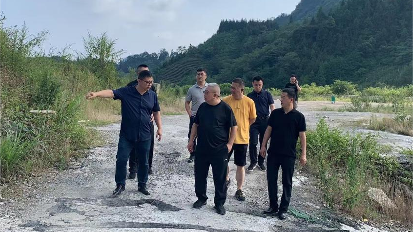 省尊龙集团官网集团辅导调研峨眉山太阳村村落振兴项目