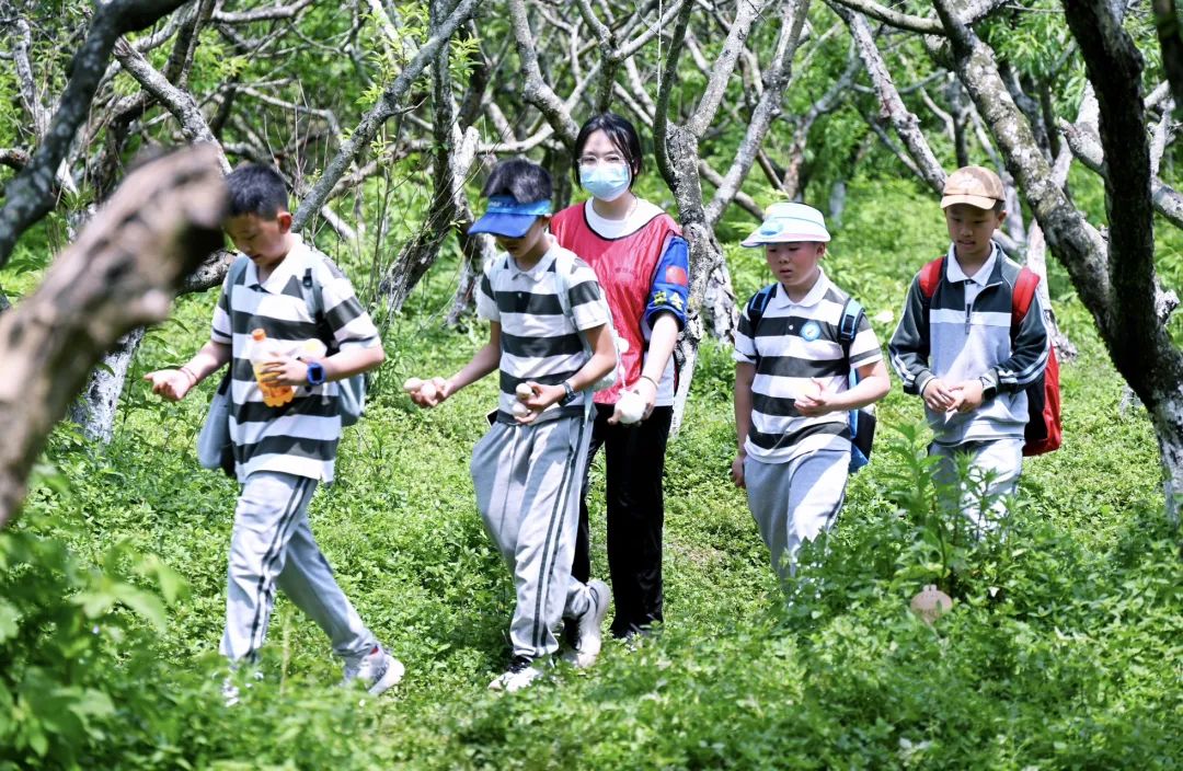 cdd641c2-872c-4ebe-b934-a9f8ae1cf906