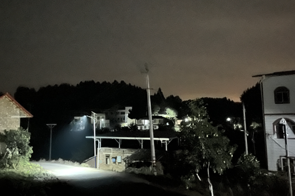 点亮村落振兴路 ，温暖人民幸福家——省尊龙集团官网集团捐资“亮化工程”惠及80余户老苍生