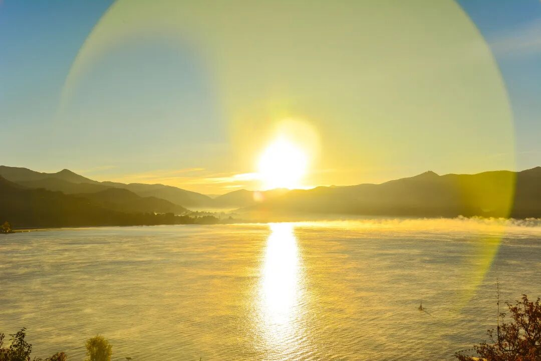 88ec5b38-efa3-45ee-b94a-a27f8708d568